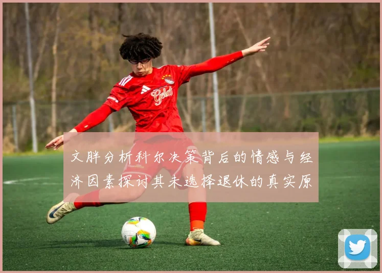 文胖分析科尔决策背后的情感与经济因素探讨其未选择退休的真实原因