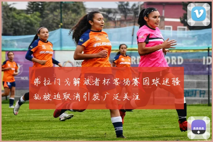 弗拉门戈解放者杯客场赛因球迷骚乱被迫取消引发广泛关注
